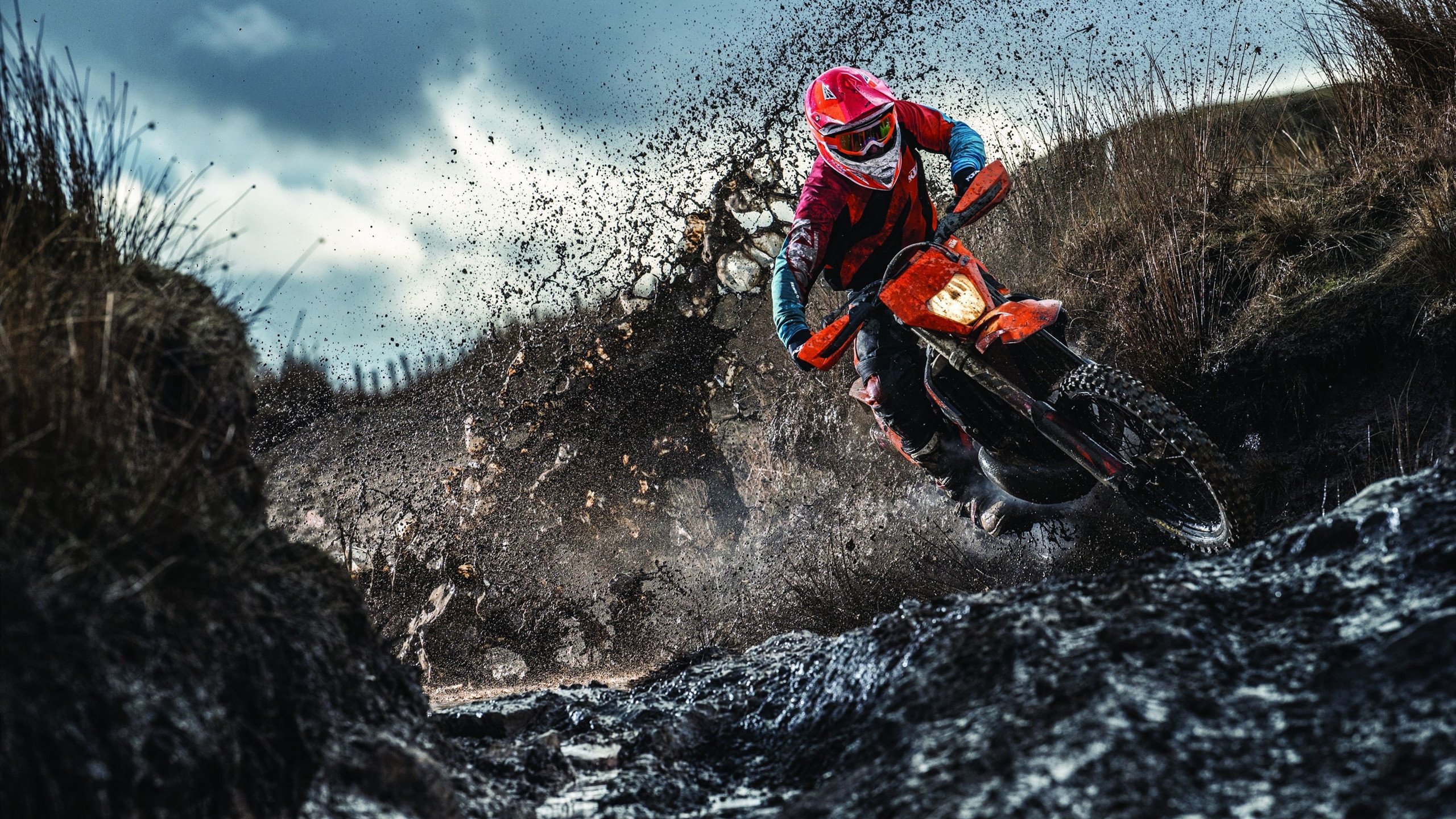 世界警察马拉松锦标赛 柏林警员折桂 警犬陪跑成赛场一景